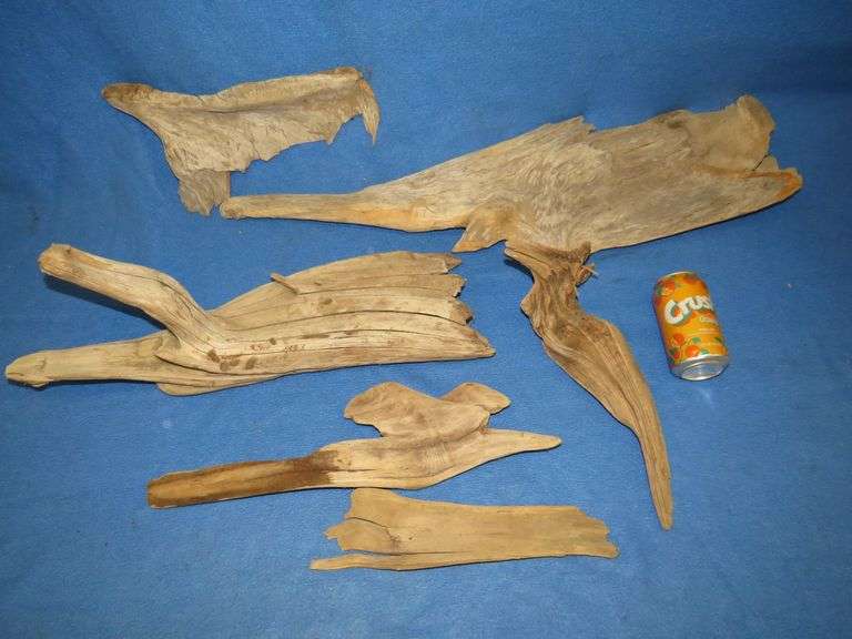 Driftwood from Canada for mounting your trophy fish or duck