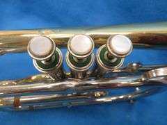 Frank Horton Model C301 cornet. Good used condition.  Valves work good.  Includes two mutes, case, a