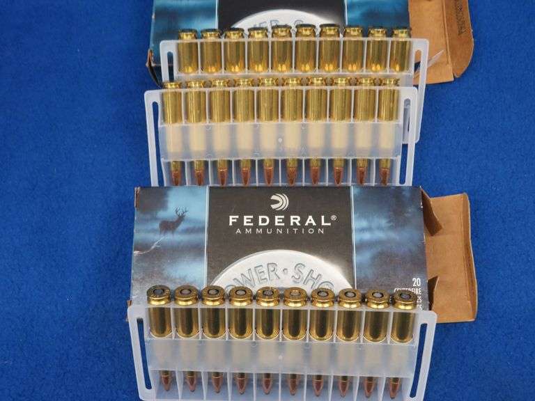 30 Federal 243 rounds