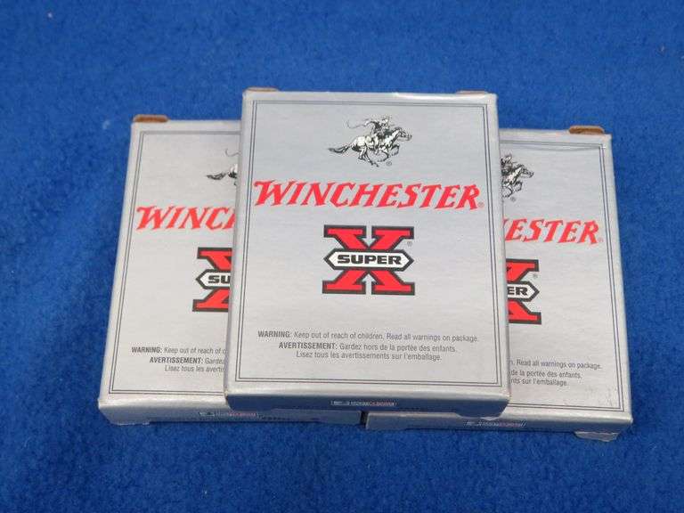 15 Winchester Super X 000 Buck-Shot, 410-gauge rounds