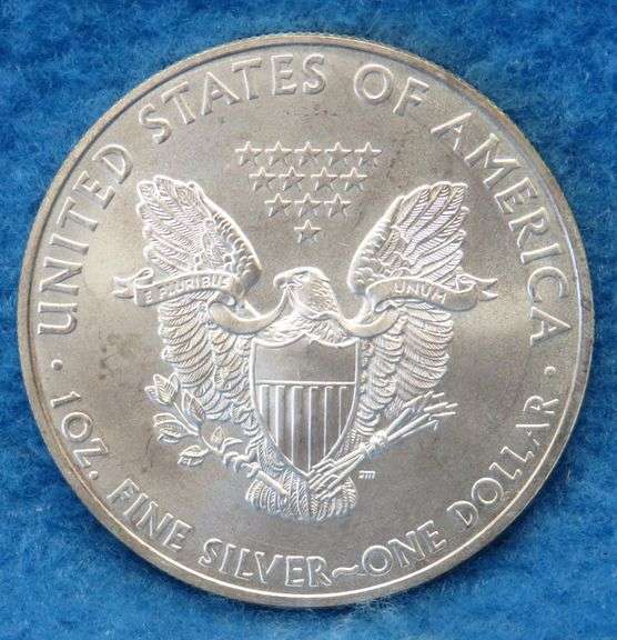 2008 American Silver Eagle.  One ounce of .999 fine silver.