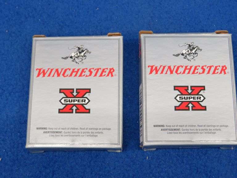10 Winchester Super X 1/4oz, 410-gauge slug rounds