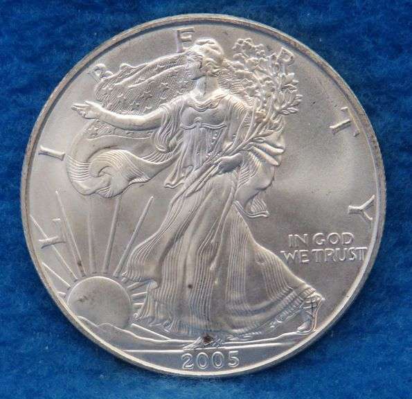2005 American Silver Eagle.  One ounce of fine silver.
