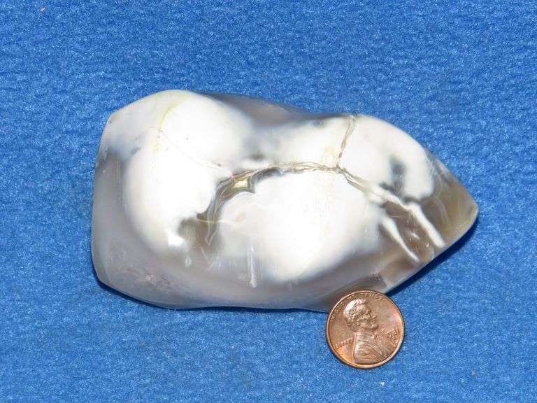 Serpentine Turtle and an Orca Agate Flame.  Total weight of .97 lb.