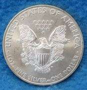 2008 American Silver Eagle.  One ounce of .999 fine silver.