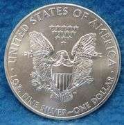 2012 American Silver Eagle.  One ounce of .999 fine silver.