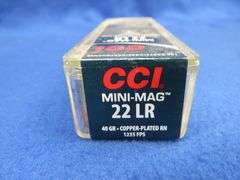 100 CCI 22LR rounds
