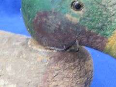 Vintage wooden duck decoy with glass eyes
