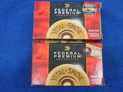 20 Federal 12-gauge slug rounds