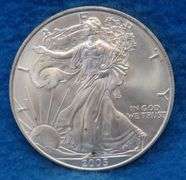 2005 American Silver Eagle.  One ounce of fine silver.