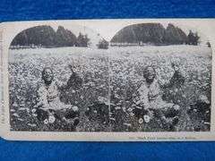 Two Black Americana postcards, two stereocards, and one advertising coffee card