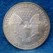 2005 American Silver Eagle.  One ounce of fine silver.