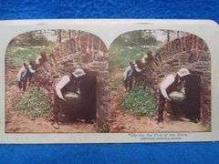 Two Black Americana postcards, two stereocards, and one advertising coffee card