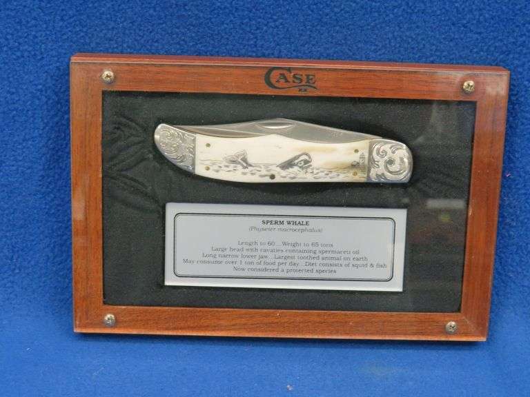 A Case Sperm Whale commemorative knife in a display box