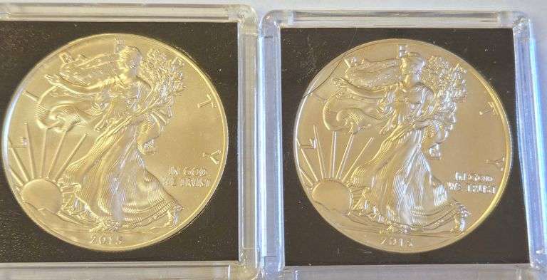 (2) BU 2015 SILVER AMERICAN EAGLE COINS