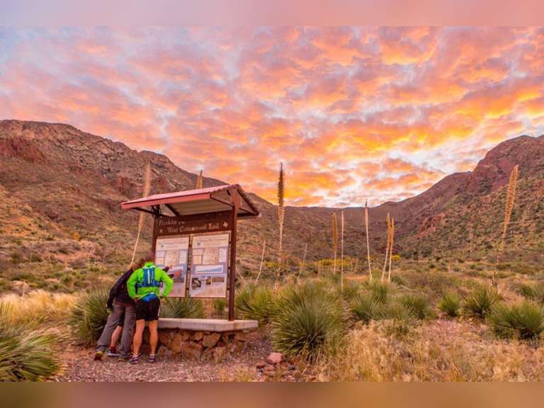 WEST COTTONWOOD TRAIL AUCTION