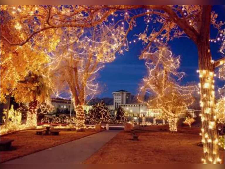 UTEP SEASON OF LIGHTS AUCTION 