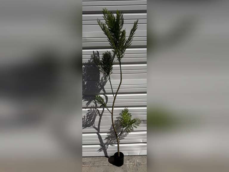 Artificial Jacaranda mimosifolia Tree 5.7 Ft