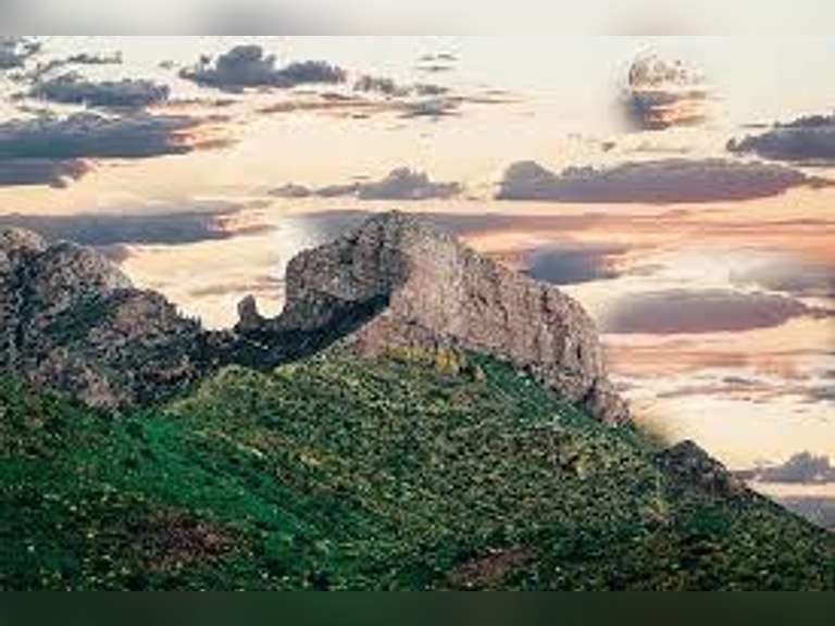 ELEPHANT MOUNTAIN AUCTION