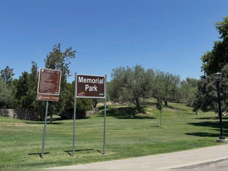 MEMORIAL PARK AUCTION 