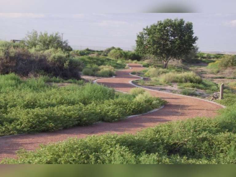 RIO BOSQUE WETLANDS PARK EL PASO 