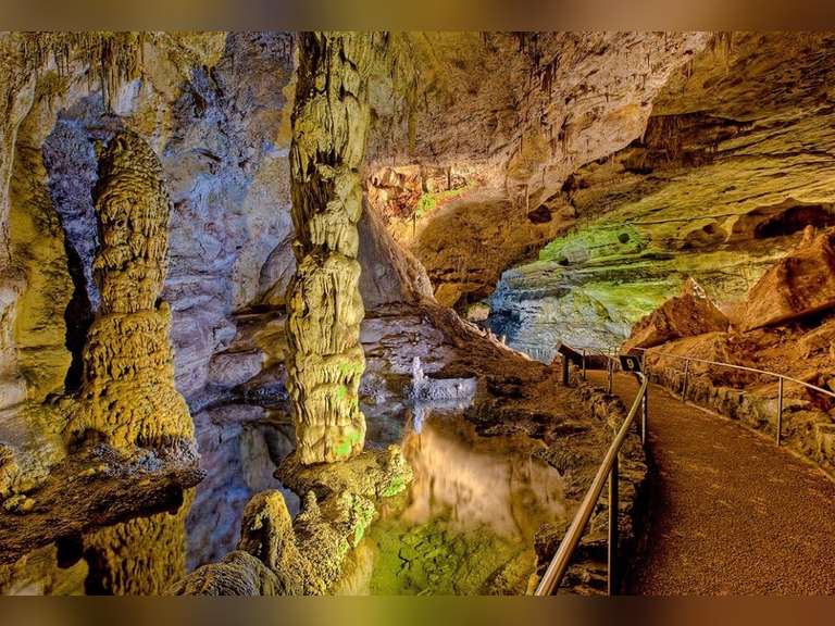 CARLSBAD CAVERNS AUCTION 