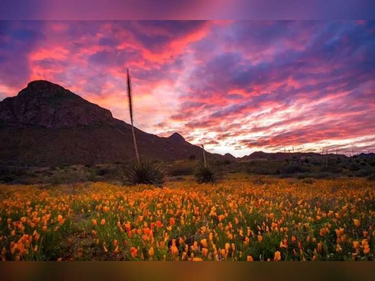 El Paso Sunsets