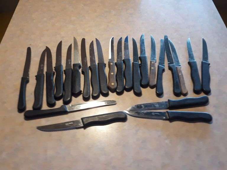 (24) Assorted 4" Steak Knives