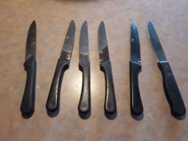 (25) 5" Steak Knives with Polycarbonate Handles