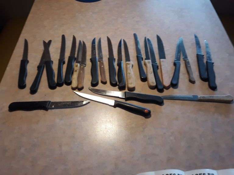 (24) Assorted 4" Steak Knives