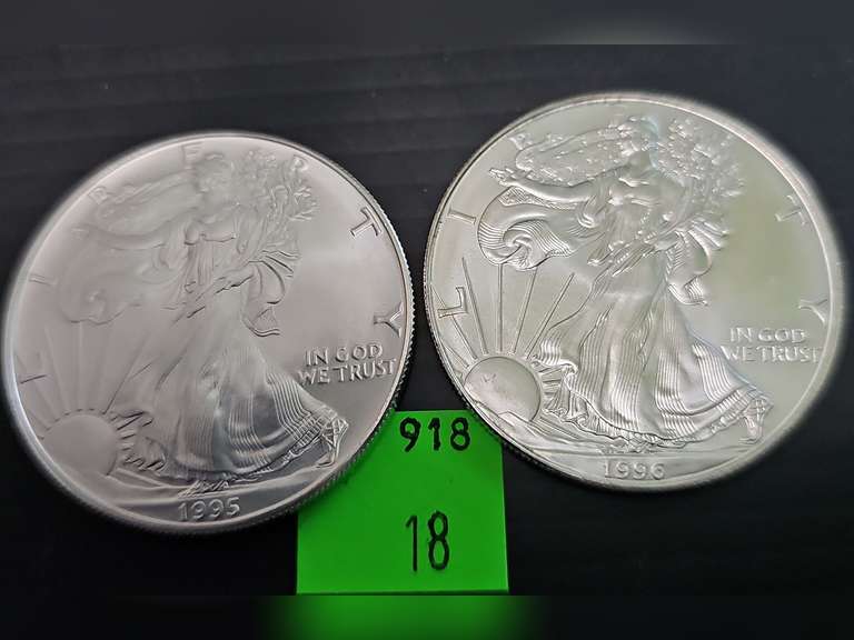 2 UNC Silver American Eagles ~ 1995 & 1996
