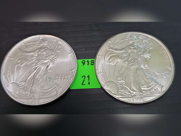 2 UNC Silver American Eagles ~ 1995 & 1996