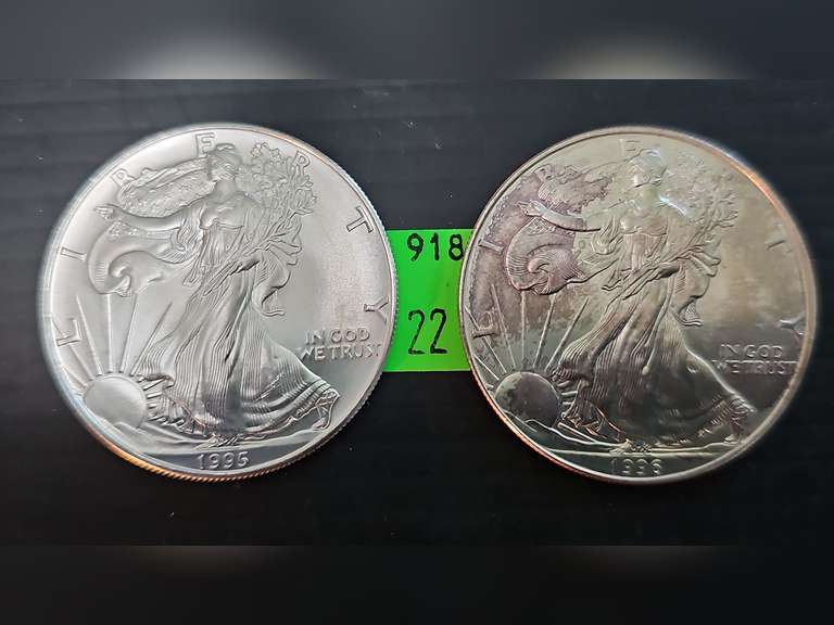 2 UNC Silver American Eagles ~ 1995 & 1996