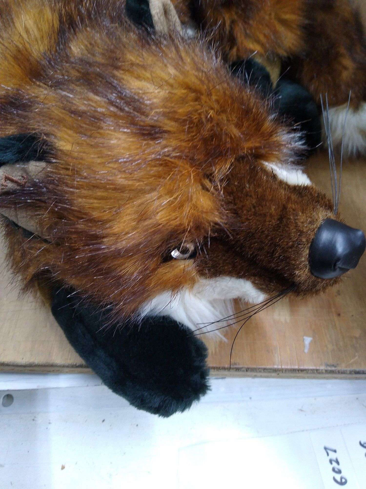 Ditz designs USA Red fox stuffed animal.5c - Lil Dusty Online