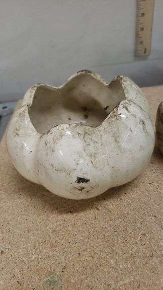 PAIR OF CUTE PLANTERS. 01C