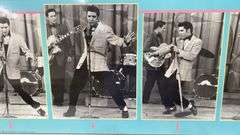 Elvis poster on board 1991. 1a
