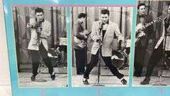 Elvis poster on board 1991. 1a