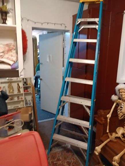 Werner 8ft ladder
