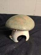Mushroom house