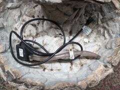 Raccoon water fountain (BIB200.00(