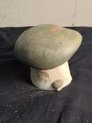 Mushroom house