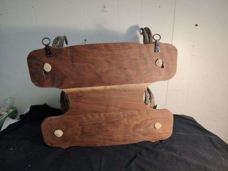 Mounted deer hooves 20 x 16