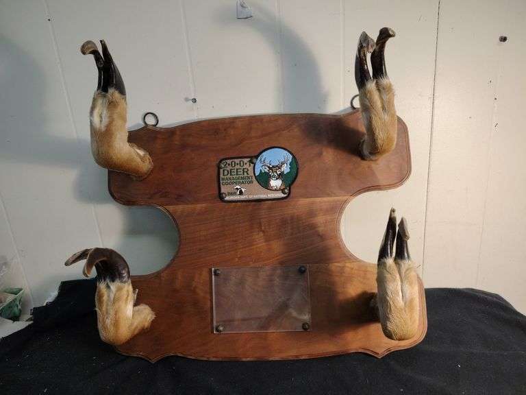 Mounted deer hooves 20 x 16