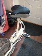 Schwinn Airdyne exercise bike
