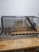 Animal trap. 7e