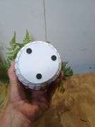 Garden home decor. 4e