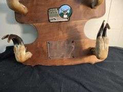 Mounted deer hooves 20 x 16