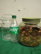 2 Vintage counter jars- 1 is Vaseline glass