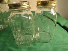 Canning jars- 2 blue Ball, 7 quarts, 9 pints