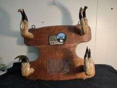 Mounted deer hooves 20 x 16
